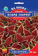 Насіння Колеусу Вiзард Скарлет (10шт), Collection, TM GL Seeds