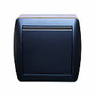 Вимикач одноклавішний, Acura графіт