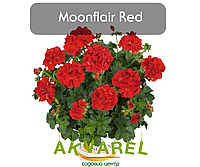 Moonflair Red