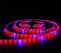 Светодиодная лента фито (розового цвета) 12 вольт 12W 60led smd5050