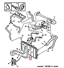 Патрубок теплообмінника нижній Fiat Ducato 230, Peugeot Boxer, Citroen Jumper (1994-2002) 2.5/2.8, 1317R6, фото 5