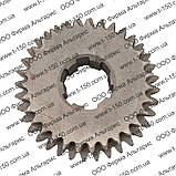 Шестірня ведуча 5-ї і 6-ї передачі Т-16, Z=31/36, СШ20.37.104А, фото 2