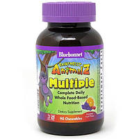 Витаминно-минеральный комплекс Bluebonnet Nutrition Rainforest Animalz, Multiple Complete Dai KS, код: 7517526