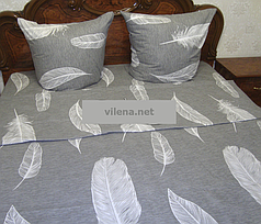 Постільна білизна Сіре перо двоспальний комплект