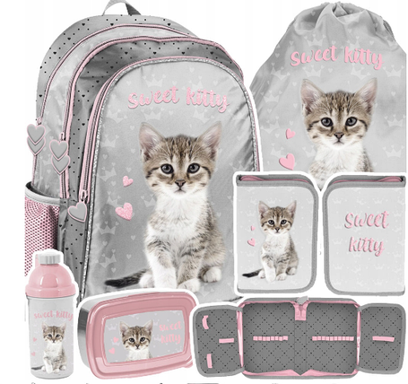 Рюкзак портфель шкільний для дівчинки з котиком набір 5в1 Paso, фото 2