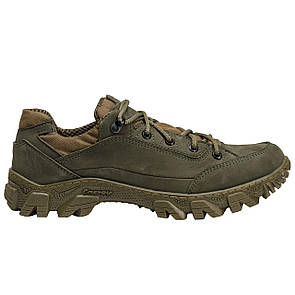 Тактичні демісезонні кросівки, військове взуття гладиатор олива