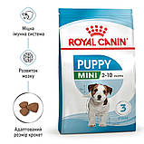 Сухий корм для щенят дрібних порід Royal Canin Mini Puppy 8 кг, фото 5