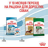 Сухий корм для щенят дрібних порід Royal Canin Mini Puppy 8 кг, фото 8