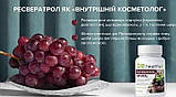 Натуральний Ресвератрол. Дієтична добавка Джерелія, 60 капсул, фото 4