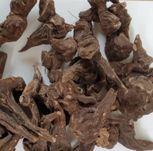 100 г корень аконита джунгарского сушеный (ID#2149561033), цена: 895 ...