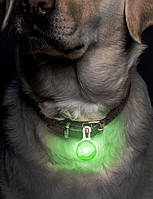 Светящийся LED брелок на карабине для собак на ошейник с батарейкой