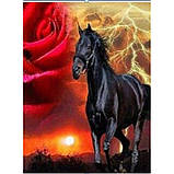Набір для творчості алмазна вишивка картина мозаїка чорний кінь 30*40 см 61446_BGLD полотно на рамі, фото 2