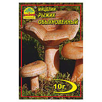 Міцелій Рижик Звичайний 10 г