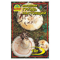 Міцелій Груздь справжній 10 г