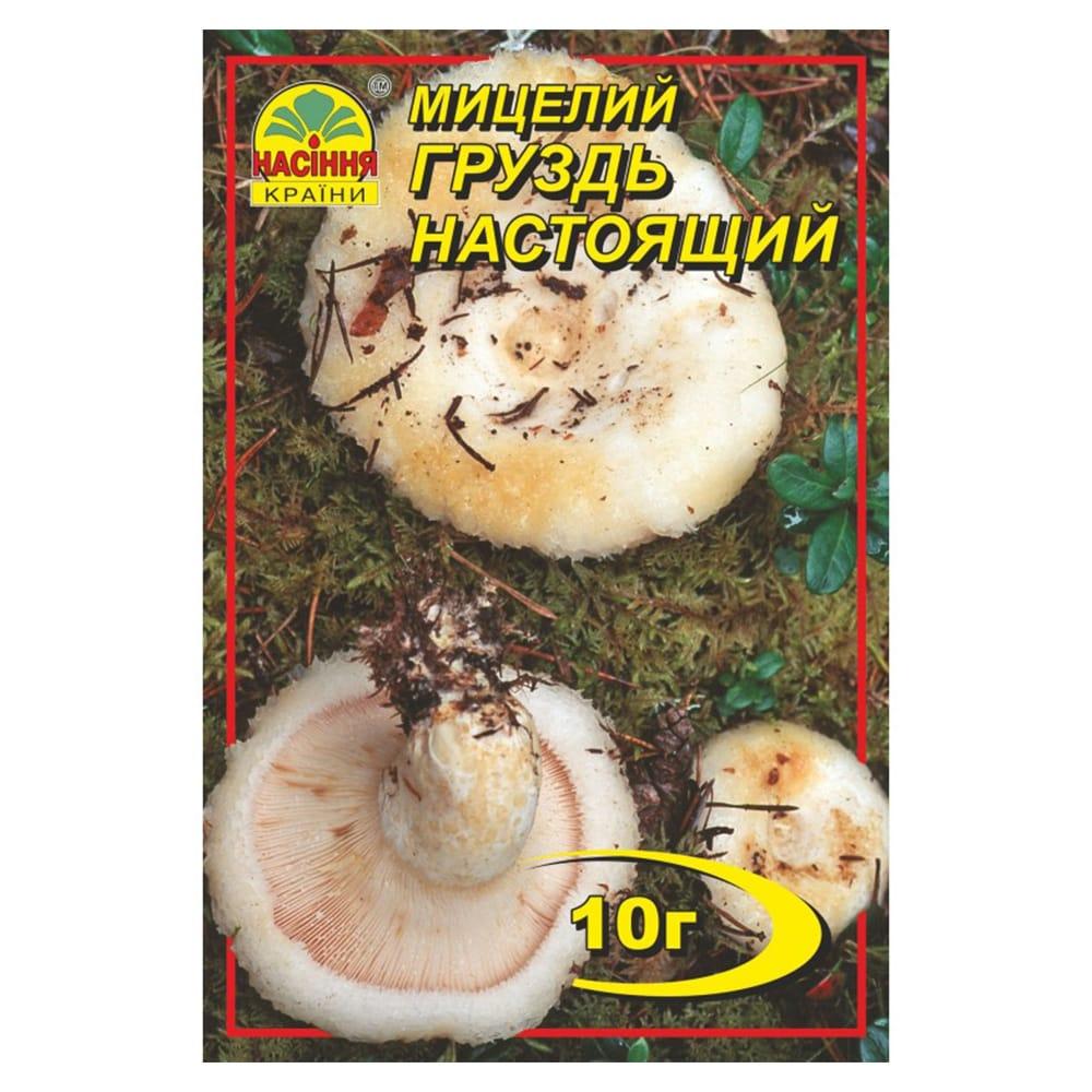 Мицелий Груздь настоящий 10 г - фото 1 - id-p73792780