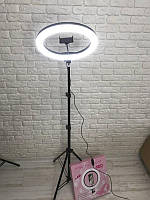 Кольцевая лампа 33 см со штативом, с держателем для телефона, кольцевая Led лампа, селфи кольцо лампа LC-330