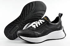 Кросівки жіночі з перфорацією Dino Ricci шкіра, фото 3