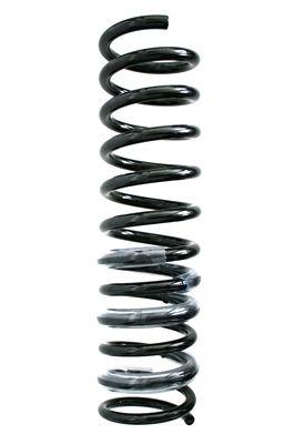 Пружина задня Raiso (Швеція) Ford Focus III (універсал), Форд Фокус 3 10- #SR181TP UAJIHOA4, фото 1