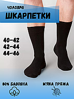 Набір шкарпеток Лео Класик 10 пар Чорний
