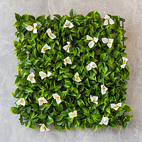 Штучний фітомодуль із зеленню та білими квітами 50*50 см