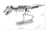 Металевий, 3D, конструктор, пазли, модель, T.REX, Skeleton, Tyrannosaurus, Rex, фото 4