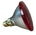Лампа інфрачервона PAR38 175W KERBL Німеччина, фото 2