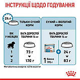 Сухий корм для вагітних собак та цуценят середніх порід MEDIUM STARTER 1 кг, фото 2