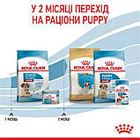 Сухий корм для вагітних собак та цуценят середніх порід MEDIUM STARTER 1 кг, фото 8