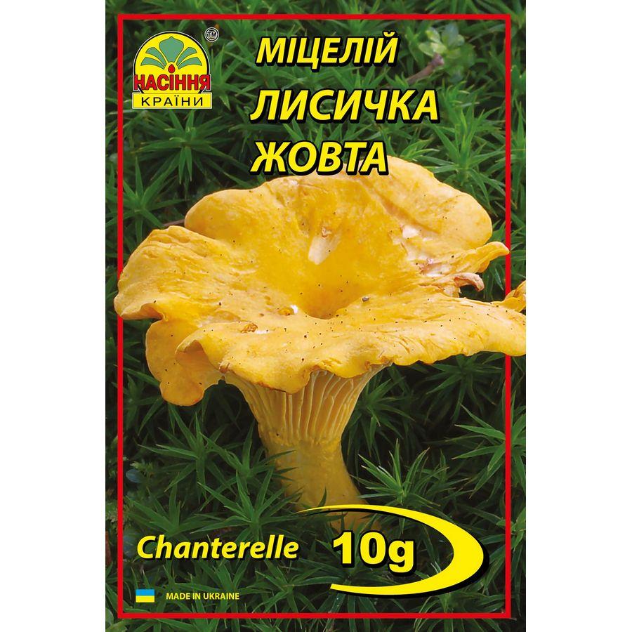 Лисичка желтая 10 г - фото 1 - id-p1137297435