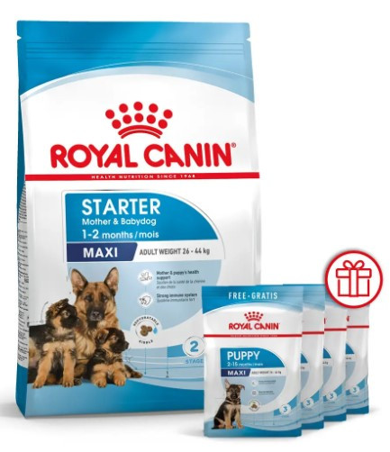 Сухий корм для новонароджених цуценят великих порід собак ROYAL CANIN MAXI STARTER 4 кг, фото 1