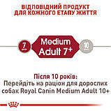Сухий корм для собак середніх порід старше 7 років MEDIUM ADULT 7+ 4 кг, фото 7