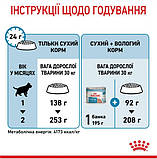 Сухий корм для новонароджених цуценят великих порід собак ROYAL CANIN MAXI STARTER 4 кг, фото 5