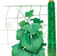 Огуречная сетка "Венгрия" 1.7х20м. Сетка для подвязки вьющихся растений.