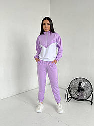 Жіночий весняний спортивний тренувальний та прогулянковий костюм з коміром стійкою, норма, напівбатал