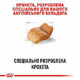 Сухий корм для дорослих собак породи Мопс Royal Canin Pug Adult 1.5 кг, фото 4