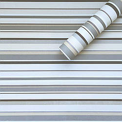 Самоклеюча плівка 0,45х10м х 0,07мм Світло-сталева SW-00001209