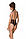 Жіноче еротичне Боді TRISHA BODY Бежевий XXL/XXXL Passion (SO9740), фото 2