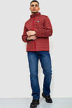Куртка чоловіча демісезонна, колір бордовий, 244R070, фото 2