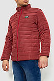Куртка чоловіча демісезонна, колір бордовий, 244R070, фото 3