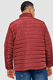 Куртка чоловіча демісезонна, колір бордовий, 244R070, фото 4