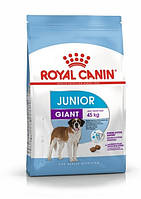 Сухой корм Royal Canin Giant Junior для щенков гигантских пород старше 8 месяцев 15 кг (31825 IB, код: 7581513