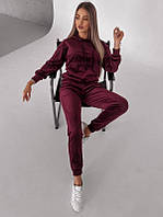 Велюровий жіночий спортивний костюм худі і штани базовий комплект