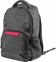 Легкий рюкзак с отделом для ноутбука 15,6 дюймов Natec Eland NTO-1386 Черный EV, код: 8102227