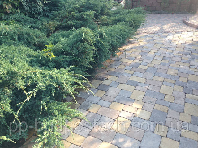 Плитка тротуарна Старе місто Плитка тротуарна Старе місто