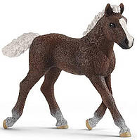 Schleich 13899/17077 - Жеребенок Черный Форрест