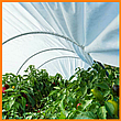 Парник 4 м 42 г/м2 "Парник для рослин" для розсади овочів, дачна розбірна теплиця з спанбонду, фото 4
