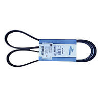 Ремінь генератора полікліновий 4PK1488 Ford Transit, Форд Транзит 2.5 d / tdi 1992-2000, 974F6C301BA / T117115