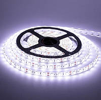 Світлодіодна LED стрічка з клейкою основою 10мм 14,4 Вт/м 60 LED/м IP20 МТК-300W5050-14,4W-12 білий (5м)