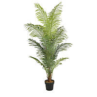 Пальма - Дерево 200 см