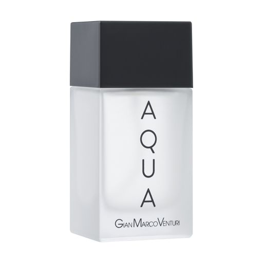 Туалетна вода Gian Marco Venturi Aqua для чоловіків — edt 100 ml Tester